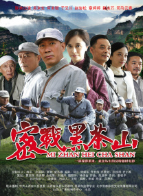 国产区精品视频